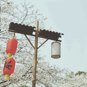 国产一区二区欧美
