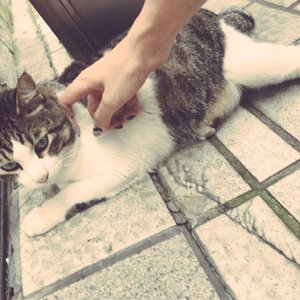 国产一区二区欧美
